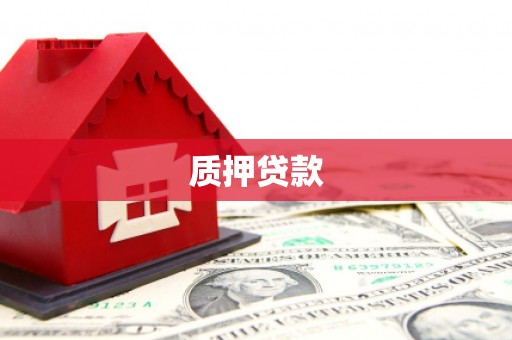 阜城质押贷款