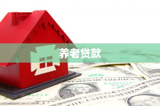 阜城养老贷款