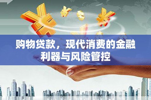 阜城购物贷款，现代消费的金融利器与风险管控
