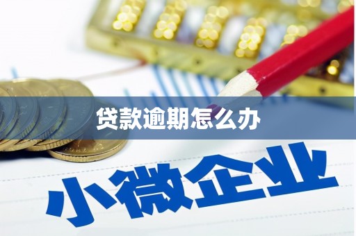 阜城贷款逾期怎么办