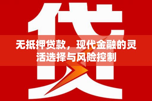 阜城无抵押贷款，现代金融的灵活选择与风险控制