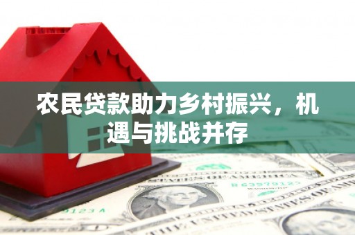阜城农民贷款助力乡村振兴，机遇与挑战并存