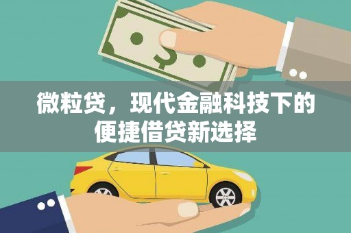 阜城微粒贷，现代金融科技下的便捷借贷新选择