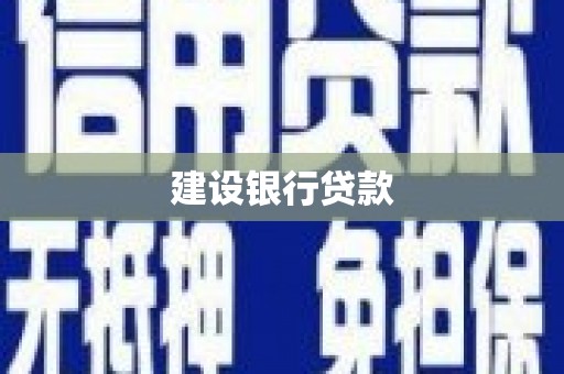 阜城建设银行贷款