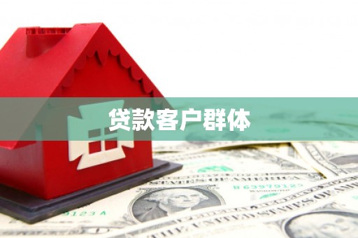 阜城贷款客户群体