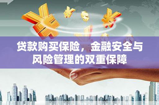 阜城贷款购买保险，金融安全与风险管理的双重保障
