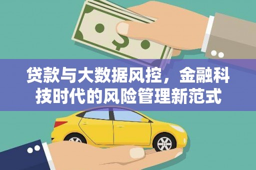 阜城贷款与大数据风控，金融科技时代的风险管理新范式