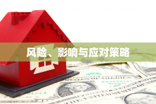 阜城风险、影响与应对策略