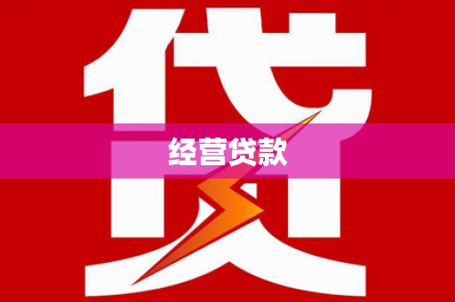 阜城经营贷款