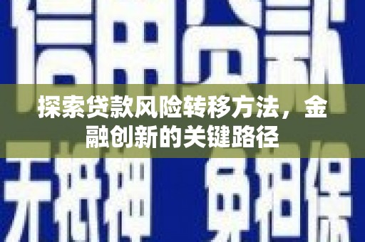 阜城探索贷款风险转移方法，金融创新的关键路径