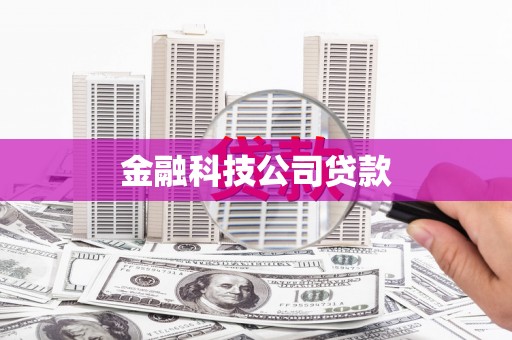 阜城金融科技公司贷款