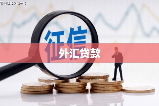 阜城外汇贷款