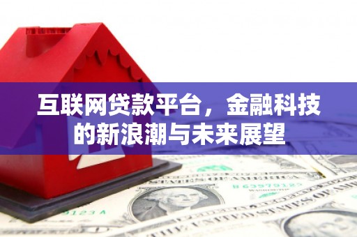 阜城互联网贷款平台，金融科技的新浪潮与未来展望