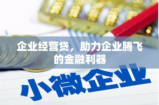 阜城企业经营贷，助力企业腾飞的金融利器