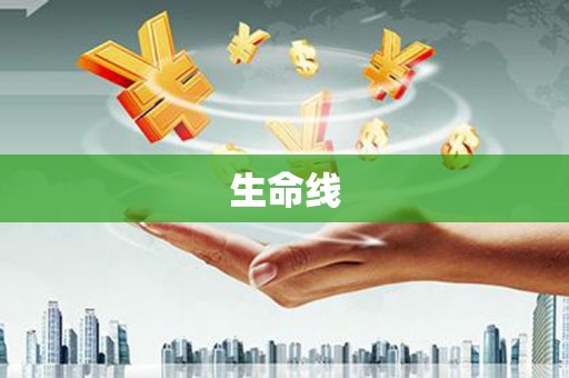 阜城生命线