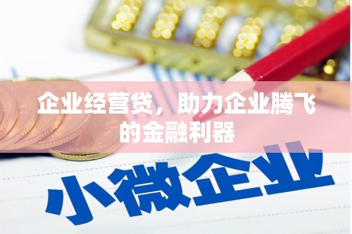 阜城企业经营贷，助力企业腾飞的金融利器