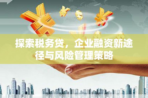阜城探索税务贷，企业融资新途径与风险管理策略