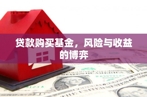 阜城贷款购买基金，风险与收益的博弈