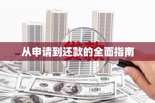 阜城从申请到还款的全面指南