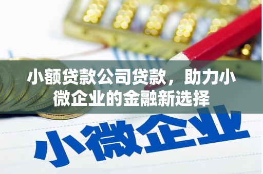 阜城小额贷款公司贷款，助力小微企业的金融新选择