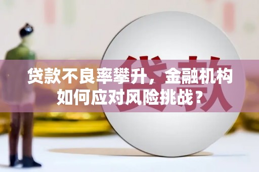 阜城贷款不良率攀升，金融机构如何应对风险挑战？