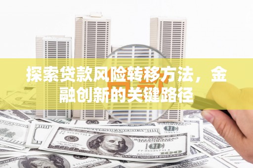 阜城探索贷款风险转移方法，金融创新的关键路径