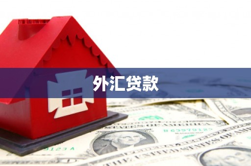 阜城外汇贷款