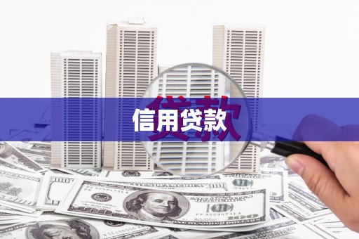 阜城信用贷款