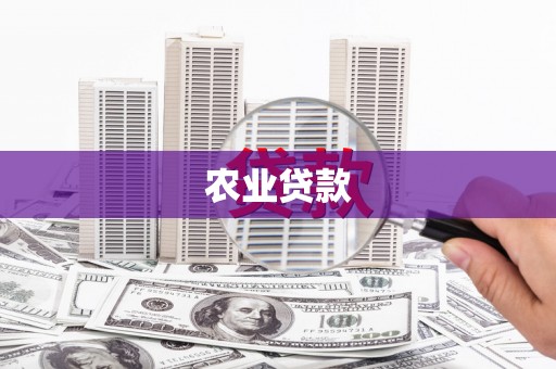 阜城农业贷款
