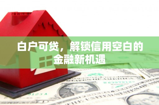 阜城白户可贷，解锁信用空白的金融新机遇