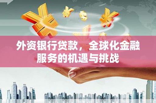 阜城外资银行贷款，全球化金融服务的机遇与挑战