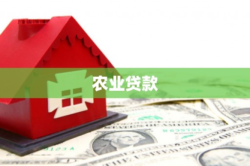 阜城农业贷款