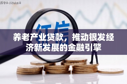 阜城养老产业贷款，推动银发经济新发展的金融引擎