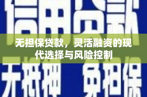 阜城无担保贷款，灵活融资的现代选择与风险控制