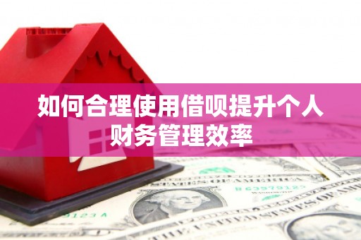 阜城如何合理使用借呗提升个人财务管理效率