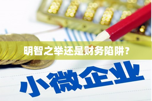 阜城明智之举还是财务陷阱？
