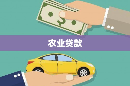 阜城农业贷款