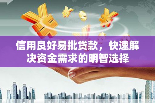 阜城信用良好易批贷款，快速解决资金需求的明智选择