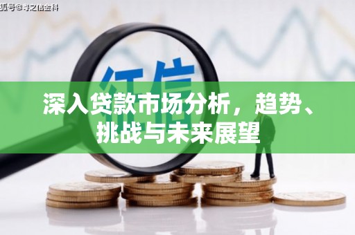 阜城深入贷款市场分析，趋势、挑战与未来展望