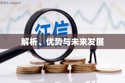 阜城解析、优势与未来发展