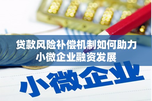 阜城贷款风险补偿机制如何助力小微企业融资发展