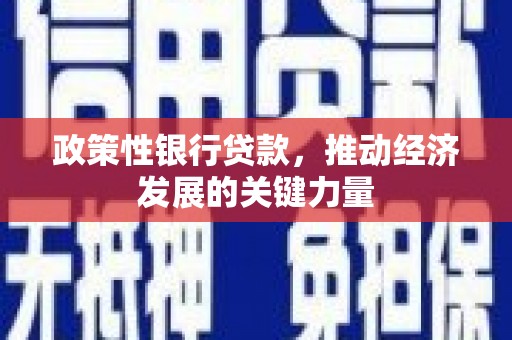 阜城政策性银行贷款，推动经济发展的关键力量