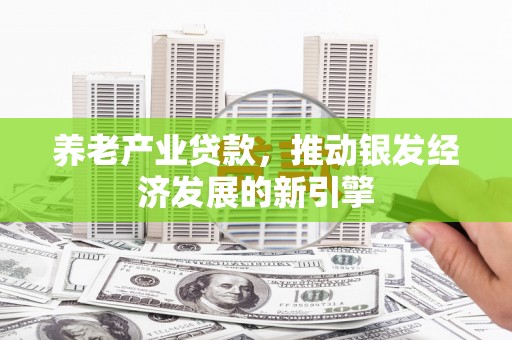 阜城养老产业贷款，推动银发经济发展的新引擎