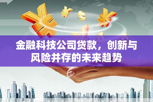 阜城金融科技公司贷款，创新与风险并存的未来趋势