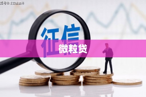 阜城微粒贷