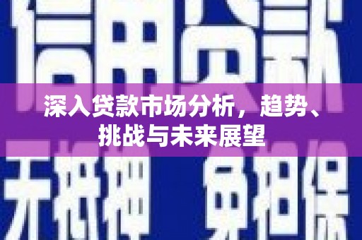 阜城深入贷款市场分析，趋势、挑战与未来展望
