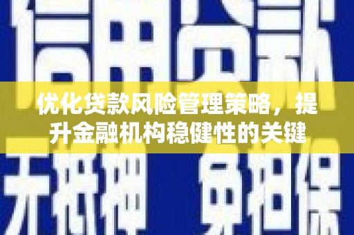 阜城优化贷款风险管理策略，提升金融机构稳健性的关键
