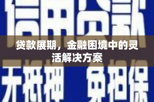 阜城贷款展期，金融困境中的灵活解决方案