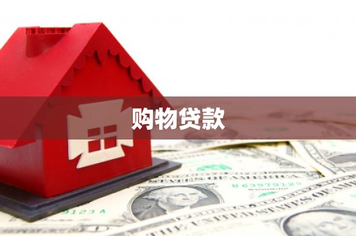 阜城购物贷款