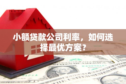 阜城小额贷款公司利率，如何选择最优方案？